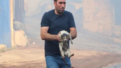 Alevler içinde mahsur kalan kediye 'kahraman müdahale'