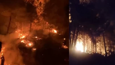 Gazipaşa'da ormanlık alanda çıkan yangın kontrol altına alındı