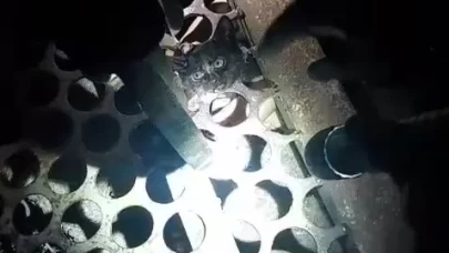 Başı mazgala sıkışan yavru kedinin adını 'Mazgal' koydular