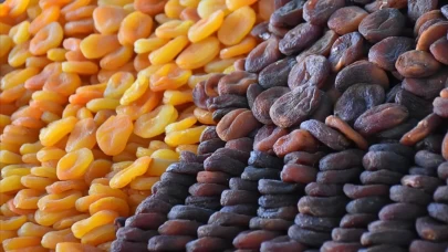 Zirai don mağduru çiftçilere müjde: Ödemeler bu ay yapılacak