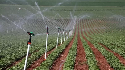 Bitkisel üretimde yeni desteklemelerin detayları belli oldu