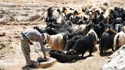 Hayvancılık desteklerinde artış