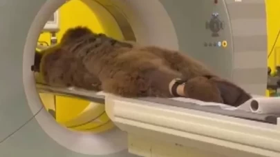 Yediği meyveler dokundu, hastaneye kaldırıldı