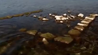 Sapanca'da gizemli taş yapı tekrar ortaya çıktı