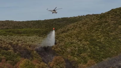 Bursa'da orman yangını!