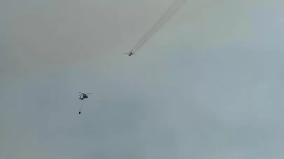 Karabük'te yeni orman yangını çıktı