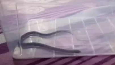 Dördüncü katta çocuk odasından çıktı