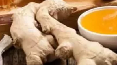 Mikroplara savaş açan bitkiler