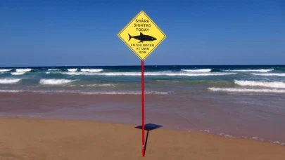 Avustralya’da kanlı saldırı: Köpek balığı 57 yaşındaki sörfçüyü hayattan kopardı