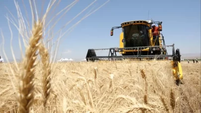 Hububat ihracatı 8 ayda 8 milyar doları aştı