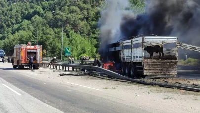 Büyükbaş hayvan yüklü tırda yangın çıktı