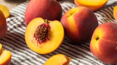 Kayısı Çekirdeği Nasıl Ekilir?