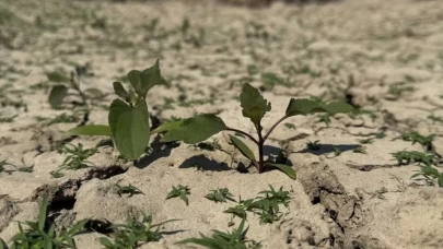 Çanakkale’de kuraklık alarmı: Baraj dolulukları düşüyor, tarım etkileniyor