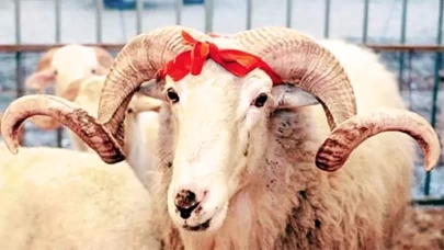 Kimler Kurban Kesmekle Yükümlüdür?