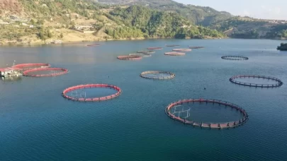 Doğu Karadeniz'den 8 ayda 27 ülkeye su ürünü ihracatı