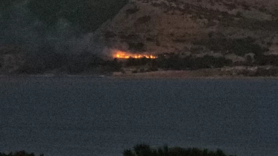 Bitlis'te orman yangını