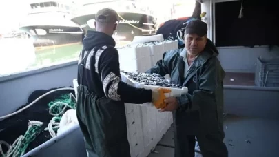 Karadeniz'de hamsi bereketi