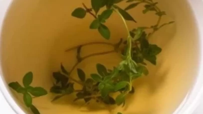 Dağ kekiği çayını tüketirken dikkat!