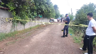 Ordu'da akraba kavgasında silahlar konuştu: 2 ölü