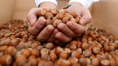Türkiye fındık ihracatından 2,5 milyar doları aşkın gelir sağladı