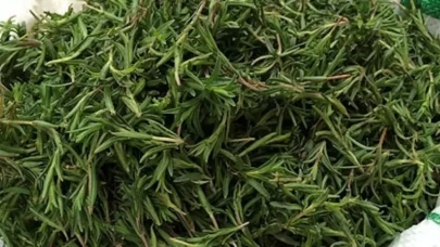 Şifa parmaklarınızın ucunda