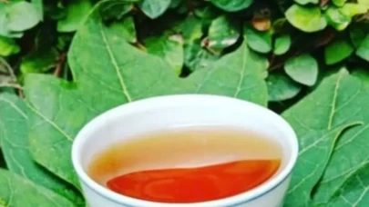 Sindirimi kolaylaştıran doğal içecek