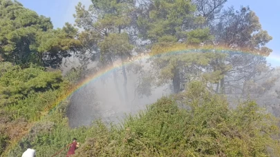 Orman yangınında uçaktan atılan su gökkuşağı oluşturdu