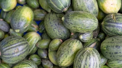 Kelek nedir? Yaz aylarının serinletici lezzeti kelek turşusu nasıl yapılır?