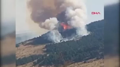 Çankırı’da çıkan orman yangını kontrol altına alındı