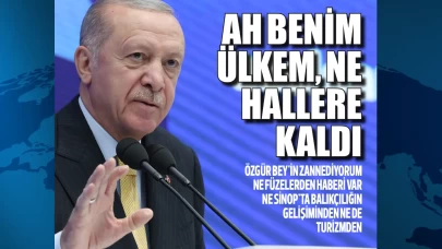 Cumhurbaşkanı Erdoğan, Özgür Özel'e 'Balıklar rahatsız oluyor' cevabı: Ah ülkem ne hallere kaldı