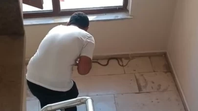 Şırnak’ta apartmanda yılan paniği