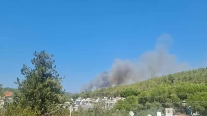 Muğla Bodrum'da orman yangını