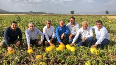 Asırlık miras Acıpayam kavunu tescillendi