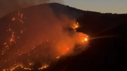Söke’de korku dolu anlar! Yangın kısa sürede büyüdü