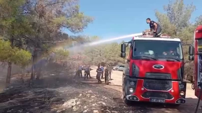 Şanlıurfa’da orman yangını
