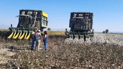 Aydın’da pamuk toplama fiyatı belirlendi