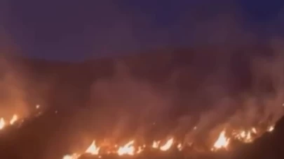 Erzincan’da çıkan örtü yangını kontrol altına alındı