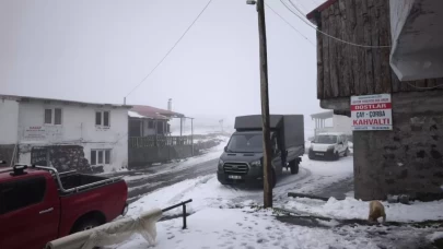 Artvin'in vadilerini sel, yaylalarını kar vurdu