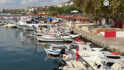 Poyraz durdu, Tekirdağ’da balıkçılar tekrar ağlarını attı