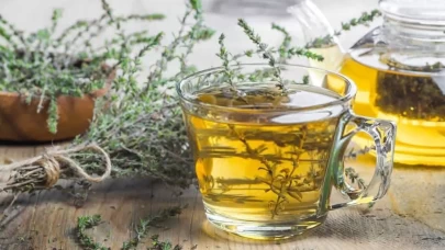 Kekik Çayı Nasıl Yapılır? Faydaları ve Pratik Tarif