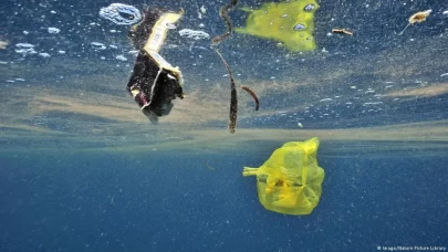 Türkiye'nin plastik kirliliğiyle mücadelesi!