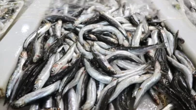 Hamsi ihracatından 8 ayda 9,9 milyon dolar gelir