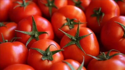 Domatesin fazlası sağlığı tehdit ediyor