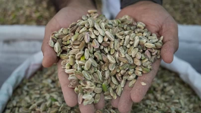 Antep fıstığına ithalat izni çıkınca fiyatlar ve satışlar düştü