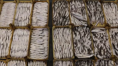 Egeli balıkçılar ilk günden tezgahları doldurdu