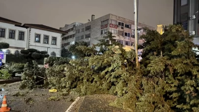 Kumluca, Finike, Demre ve Kaş'ta hasar büyüyor