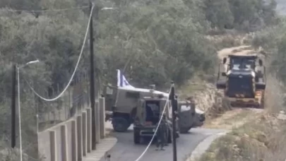 İsrail Batı Şeria’da zeytin ağaçlarını söktü