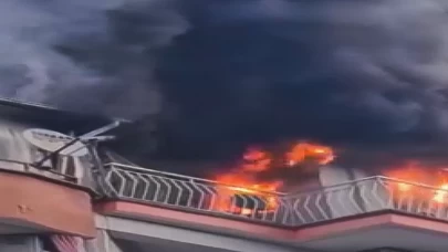 Manisa’da korkunç yangın! 6 kedi telef oldu