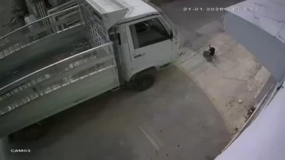 Kedileri ezen sürücüye barınak cezası