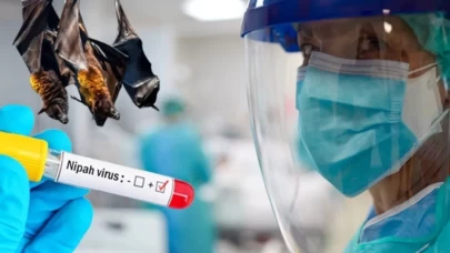 Nipah virüsünde ölüm oranı yüzde 75'e çıktı! DSÖ yeni pandemiyi engellemek için takibe geçti